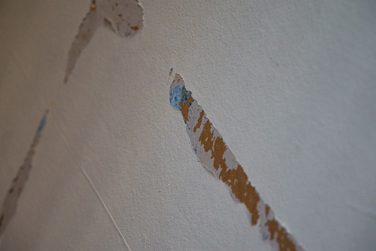 Structural Drying service in Lakewood, CA